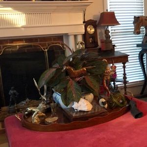 Meet your Posher, Susan